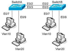 全国计算机技术与软件专业技术资格（水平）考试 软件与网络技术领域解析