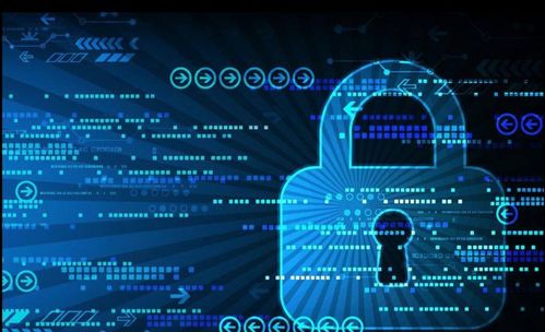 计算机软件与网络技术 理科薪资之冠的就业前景